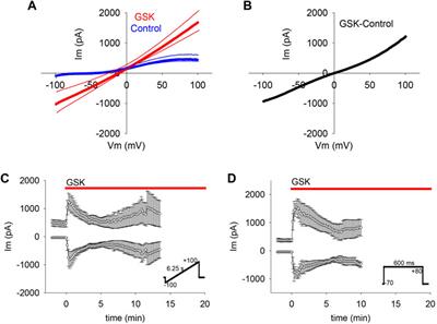 Patch clamp studies on TRPV4-dependent hemichannel activation in lens epithelium